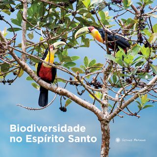 Biodiversidade no Espírito Santo
