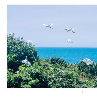Imagem da página da esquerda da publicação Biodiversidade no Espírito Santo