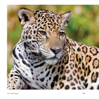 Imagem da página da esquerda da publicação Biodiversidade no Espírito Santo