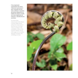Imagem da página da direita da publicação Biodiversidade no Espírito Santo