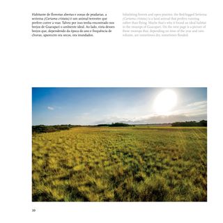 Imagem da página da direita da publicação Biodiversidade no Espírito Santo