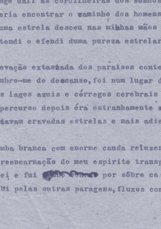 Imagem da página da esquerda da publicação Os Mamíferos: crônica biográfica de uma banda insular