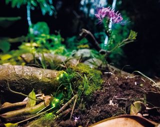 Imagem da página da esquerda da publicação Últimos Refúgios: Da Pedra Azul ao Forno Grande
