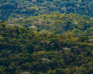 Imagem da página da esquerda da publicação Últimos Refúgios: Da Pedra Azul ao Forno Grande