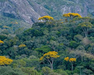 Imagem da página da direita da publicação Últimos Refúgios: Da Pedra Azul ao Forno Grande
