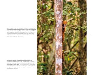 Imagem da página da direita da publicação Últimos Refúgios: Reserva Biológica de Sooretama
