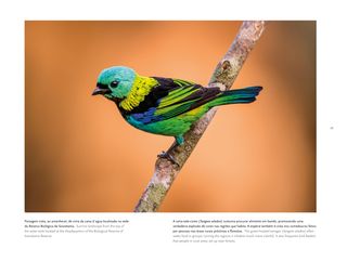 Imagem da página da direita da publicação Últimos Refúgios: Reserva Biológica de Sooretama