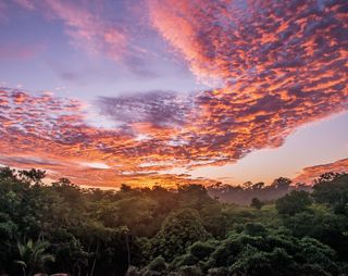 Imagem da página da esquerda da publicação Últimos Refúgios: Reserva Biológica de Sooretama