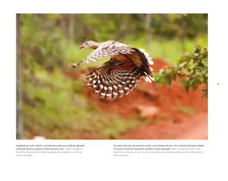 Imagem da página da direita da publicação Últimos Refúgios: Reverva Biológica de Duas Bocas