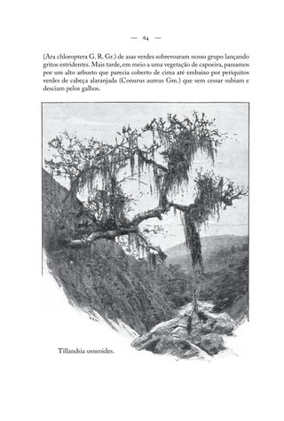 Imagem da página da esquerda da publicação Viagem pelos trópicos brasileiros: província do Espírito Santo