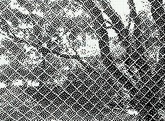 bsbit bitmap frame img0014