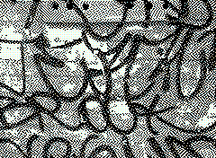 bsbit bitmap frame img0035