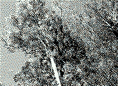 bsbit bitmap frame img0110