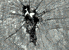 bsbit bitmap frame img0113