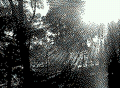 bsbit bitmap frame img0115