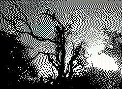 bsbit bitmap frame img0121