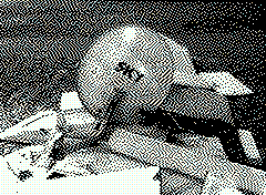 bsbit bitmap frame img0134