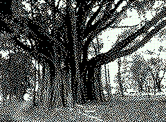 bsbit bitmap frame img0182