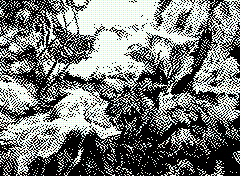 bsbit bitmap frame img0317