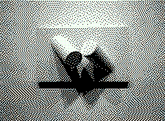 bsbit bitmap frame img0362