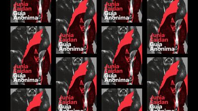 Capa do livro Guia Anônima